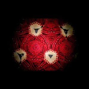 Alice Sonia-Michael – “Looking For A Friend” Official Music Video