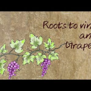 Ancestros Cord – “As We” Official Lyric Video