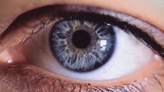 As I Fall – “Humanity’s End” Cirith Ungol – Official Music Video