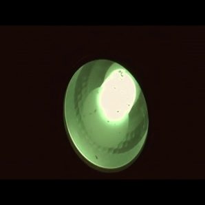 Eazyhead – “Beehive Baby” FilthyBroke Recordings