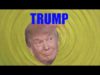 Functional Lunatics – “Trump You” M8kerz Entertainment