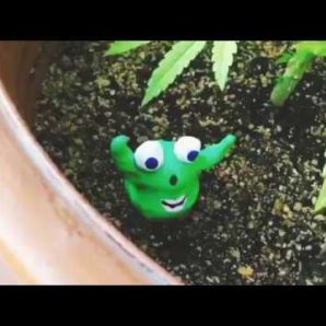 Funny Face House – “Soup” Youth Riot Records – A BlankTV World Premiere!