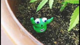 Funny Face House – “Soup” Youth Riot Records – A BlankTV World Premiere!