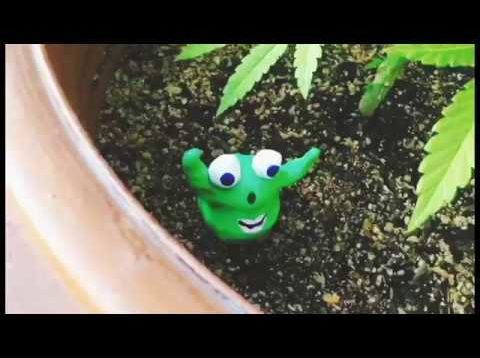 Funny Face House – “Soup” Youth Riot Records – A BlankTV World Premiere!