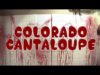 Hobo Bastard – “Colorado Cantaloupe” Official Music Video