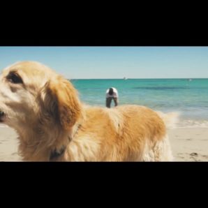 Hope Street – “Back To The Grey” Official Music Video