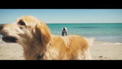 Hope Street – “Back To The Grey” Official Music Video