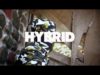Hybrid – “Paddle” Official Music Video