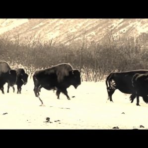 Kyle Johnson – “Spirit Winds” A BlankTV World Premiere!