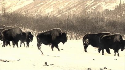 Kyle Johnson – “Spirit Winds” A BlankTV World Premiere!