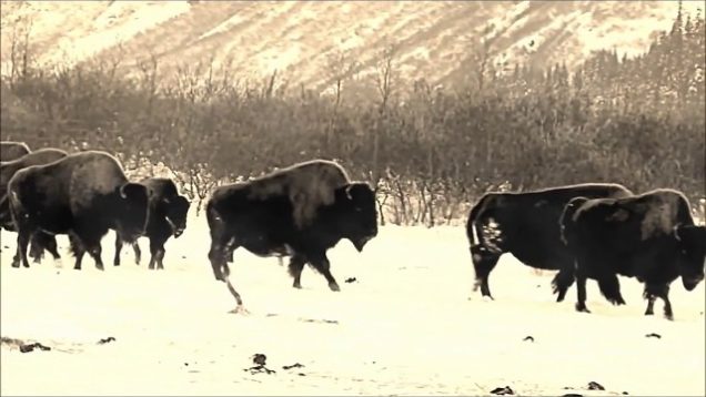 Kyle Johnson – “Spirit Winds” A BlankTV World Premiere!