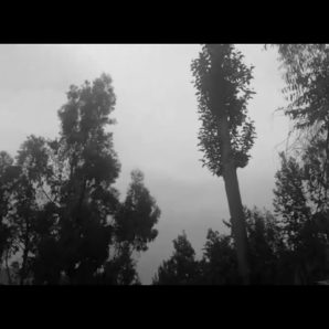 Los Amigos Del Loco – “Inveienro Del 78” Official Teaser Video