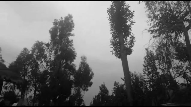 Los Amigos Del Loco – “Inveienro Del 78” Official Teaser Video