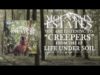 Mountain Estates – “Creepers”   Official Album Teaser