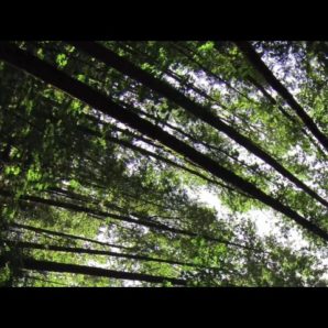 Omnisight – “Power Of One” Official Teaser Video