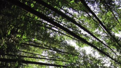 Omnisight – “Power Of One” Official Teaser Video