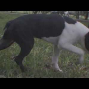 Perra Vida – “Dime Que No” Official Music Video