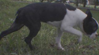 Perra Vida – “Dime Que No” Official Music Video