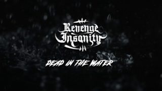 Revenge Insanity – “Dead In The Water” Official Teaser Video