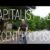 The Capitalist Kids – “Decent Proposal” A BlankTV World Premiere!