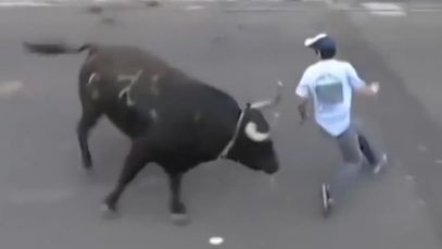 The Linkhorns – “The Outnumbered Lonely Bull” Official Music Video