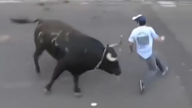 The Linkhorns – “The Outnumbered Lonely Bull” Official Music Video