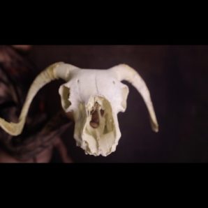 The Pretty Fragile – “#1 Crush” Official Music Video