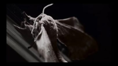 This Isn’t Over – “Mr. Huge C*ck Von D*ck” Official Music Video