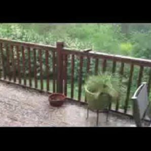 Thursday – 85° – Friday – 50° – Saturday – 59° And Hailing! Welcome To Portland!