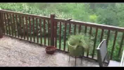 Thursday – 85° – Friday – 50° – Saturday – 59° And Hailing! Welcome To Portland!