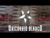 Unicornio Blanco – “David Vs Goliath” Official Music Video