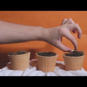 Utmost – “Mental Trend” Official Music Video