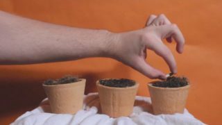 Utmost – “Mental Trend” Official Music Video