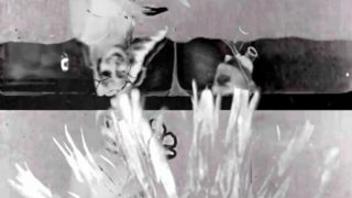 Wilhelm & Sons Entertainment Company – “Carpet” Official Music Video