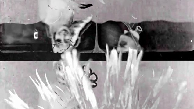 Wilhelm & Sons Entertainment Company – “Carpet” Official Music Video