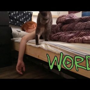 Wordplay – “Taxi Song” Splintered Wood Records