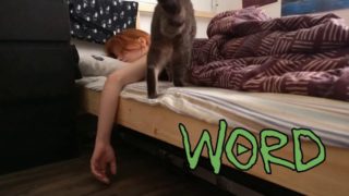 Wordplay – “Taxi Song” Splintered Wood Records