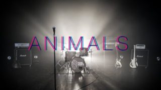 Young Hearts – “Animals” Thanks But No Thanks Records