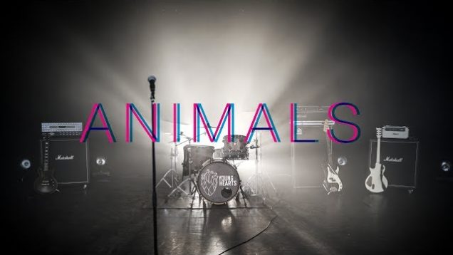 Young Hearts – “Animals” Thanks But No Thanks Records