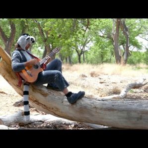 Zoltan And The Fortune Tellers – “Dreaming Of Lemurs” Broke Ass Records