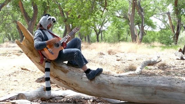 Zoltan And The Fortune Tellers – “Dreaming Of Lemurs” Broke Ass Records